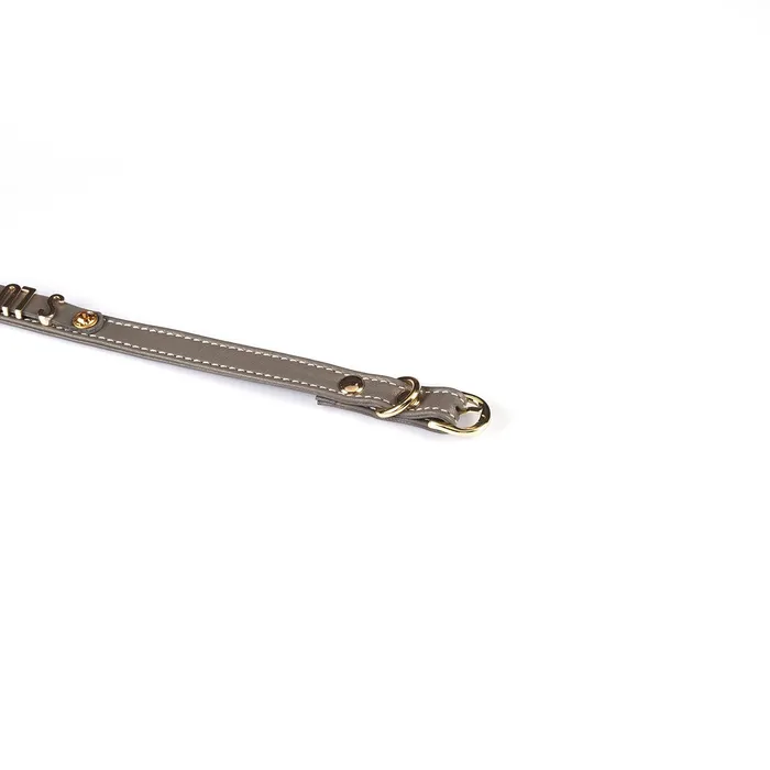 Vibrators | Liebe Seele - Smalle Collar Met Gouden Letters - Slut - Italiaans Kwaliteitsleder - Grijs - Liebe Seele