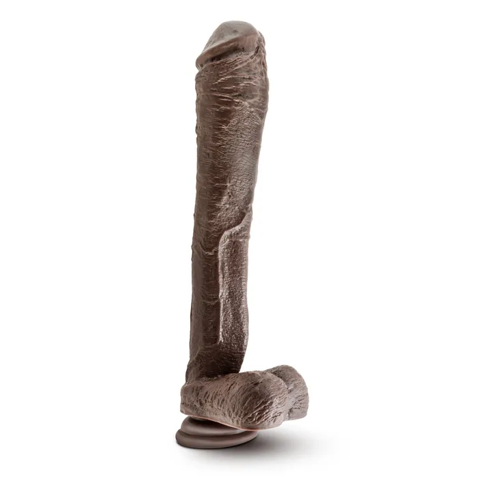 Blush Female Sex Toys Dr Skin Mr Ed 13 Inch Dildo With Suction Cup Chocolate