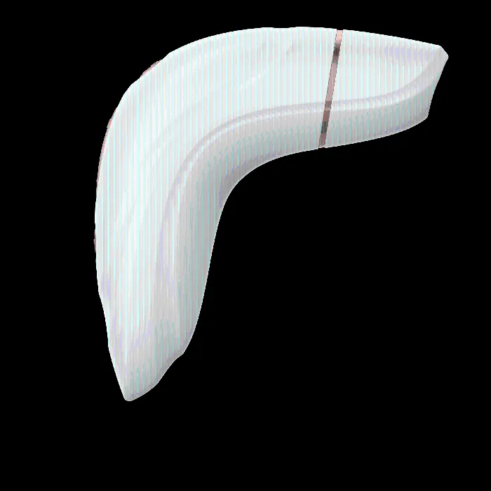 Satisfyer Vibrators | Satisfyer Pro 1+ (net)
