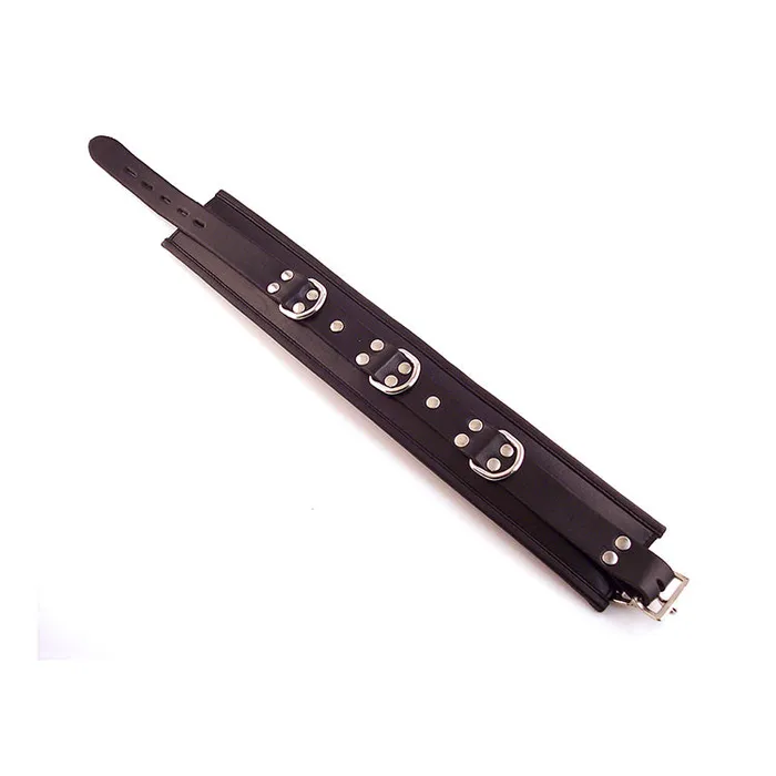 Rouge Leather 3 DRing Padded Collar Rouge Male Sex Toys