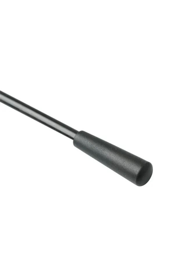 Sex and Mischief Couples Sex and Mischeif Riding Crop