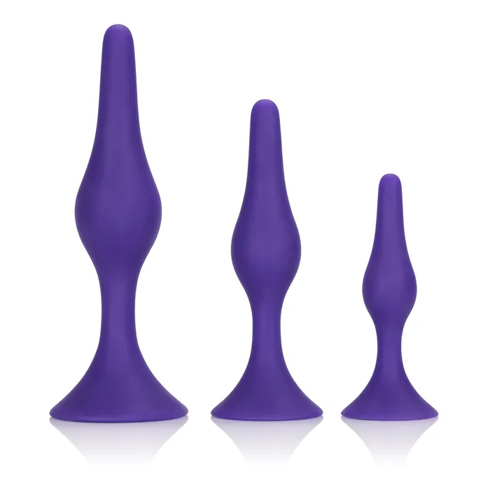 Booty Call Booty Trainer Kit CalExotics Male Sex Toys