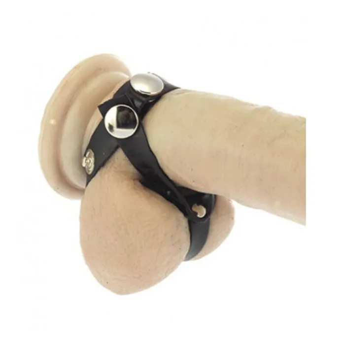 Rimba Male Sex Toys Rimba Leather Cock Ring Encasement
