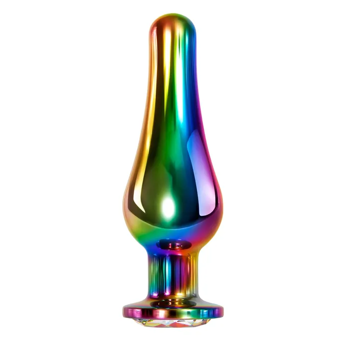 Evolved Novelties Anal Rainbow Metal Plug Large