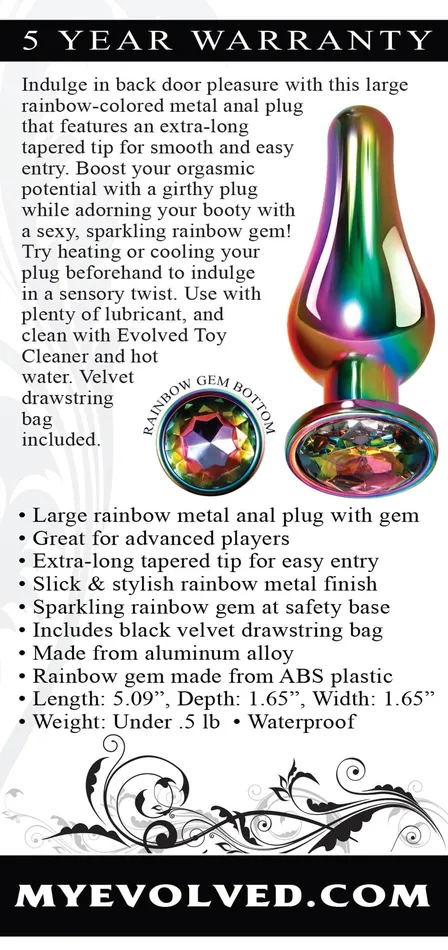 Evolved Novelties Anal Rainbow Metal Plug Large Evolved Novelties Anal Rainbow Metal Plug Large