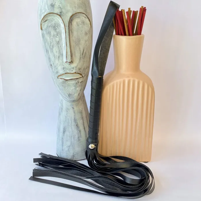Eccentric Playroom Essentials Restraints Leather Whip