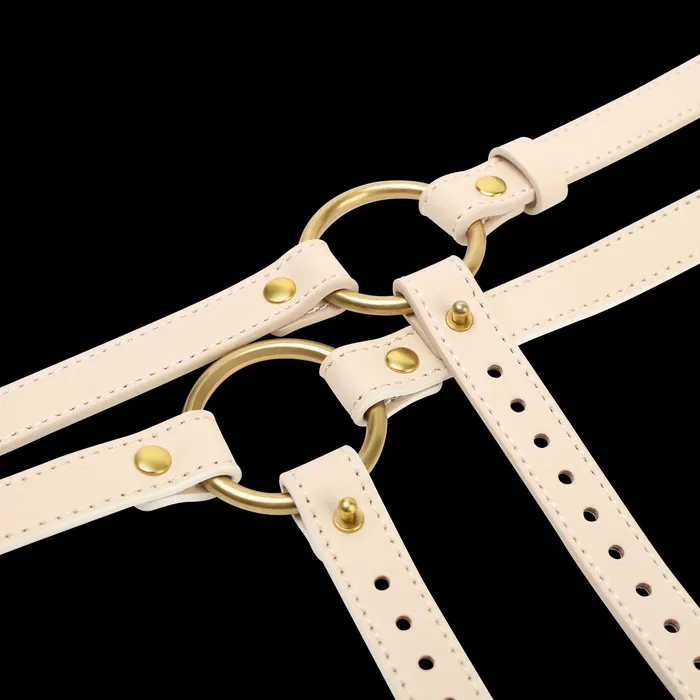 Female Sex Toys Nothosaur Toy Jamdak Strap On Harness