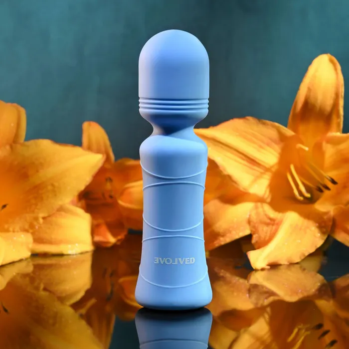 Evolved Out Of The Evolved Vibrators Evolved Out Of The Evolved Vibrators
