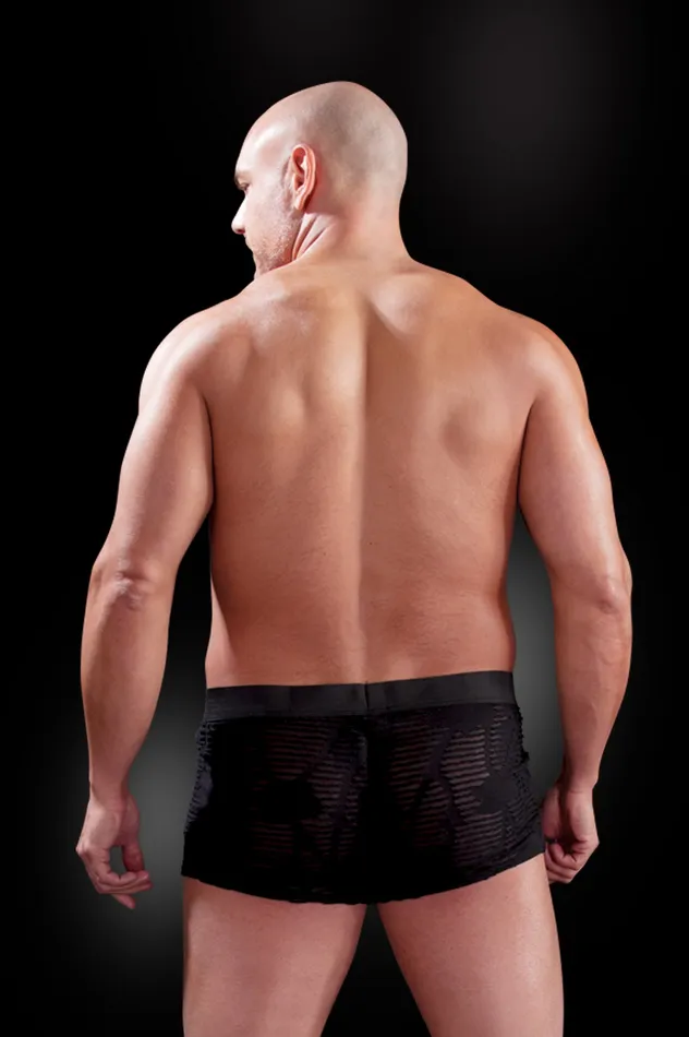 Pipedream Products Male Sex Toys Fetish Fantasy Male See Thru Boxer LargeXLarge