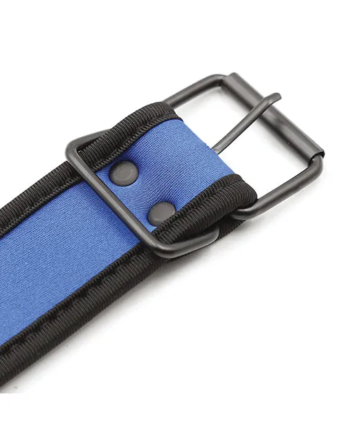 Plesur Plesur Neoprene Puppy Collar Vibrators