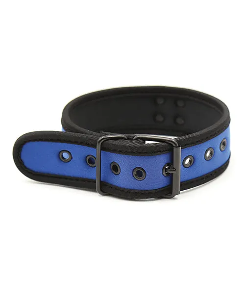 Plesur Plesur Neoprene Puppy Collar Vibrators