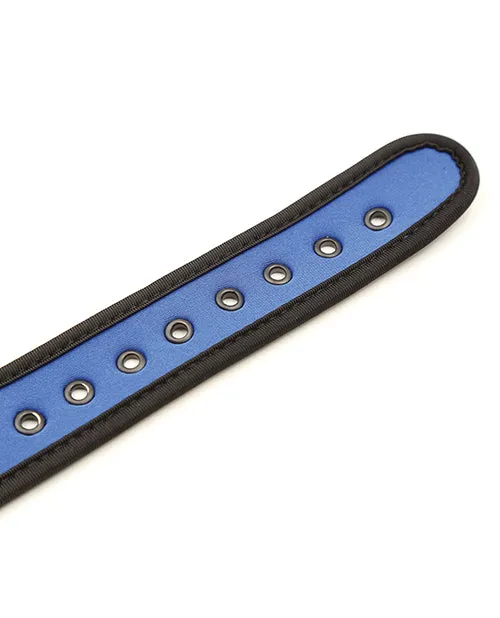Plesur Plesur Neoprene Puppy Collar Vibrators