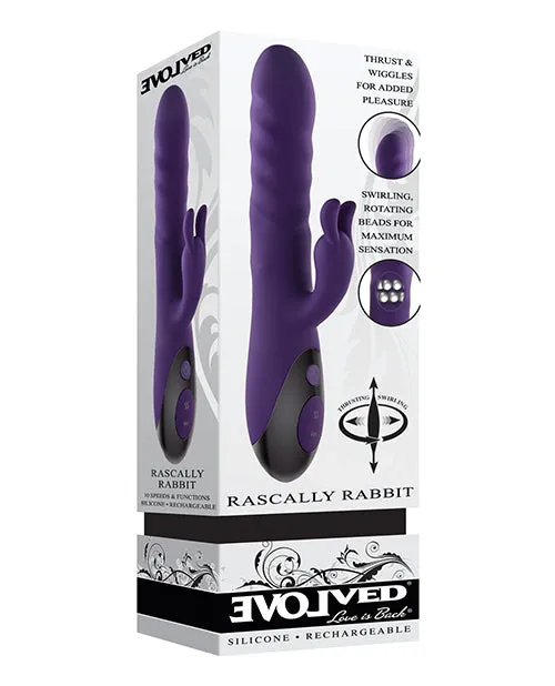 Vibrators Evolved Evolved Rascally Rabbit