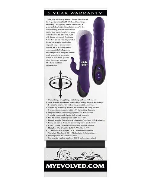 Vibrators Evolved Evolved Rascally Rabbit